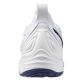 4. Mizuno WAVE MOMENTUM 3 V1GA231297 shoes