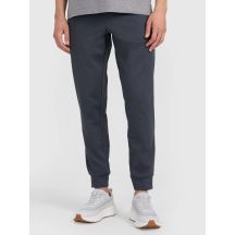 Men's quick-drying training pants 4F 4FWMM00TFTRM1067-22M