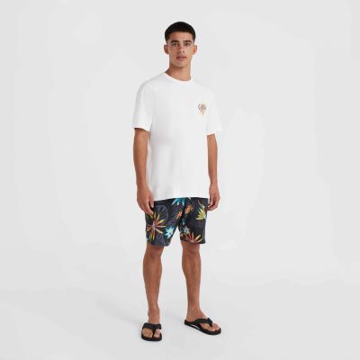 8. O'Neill Beach Graphic T-Shirt M 92800613984