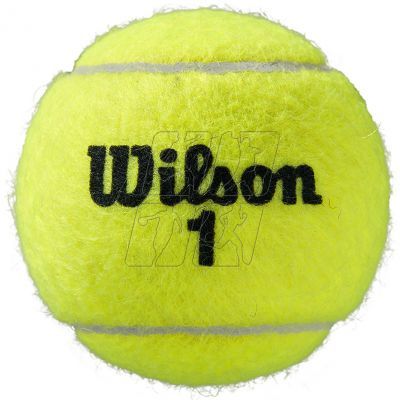 2. Wilson Roland Garros All Court tennis balls, 3 pcs WRT126400