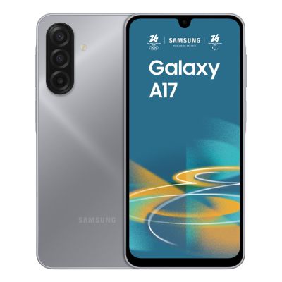 11. Samsung Galaxy A17 (A175) DS 4/128GB Grey