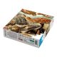 4. Good Loot Imagination Puzzle: Ernst Haeckel Chelonia - Sea Turtles, 1000 pieces