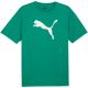 3. Puma Team Rise Logo Jersey Cotton M 658705 05