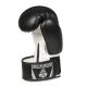 5. 10oz Boxing Gloves - Classic White - Origin Series