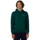 Champion Hooded Sweatshirt Green 221790 GS584