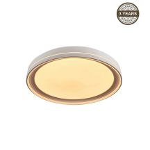 LED ceiling lamp B2361-1M-R 39CM 30W with dimming function