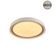 LED ceiling lamp B2361-1M-R 39CM 30W with dimming function