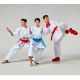 19. Karate WKF BLUE Shin and Foot Protectors | MOOTO