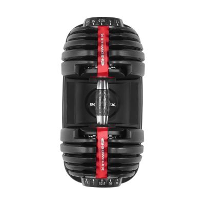 4. Bowflex Select Tech 552I adjustable dumbbell 