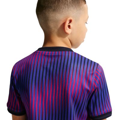 4. Nike Paris Saint-Germain kids' t-shirt purple IQ6946 420