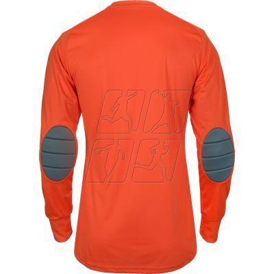 2. Adidas Assita 17 Junior AZ5398 goalkeeper jersey