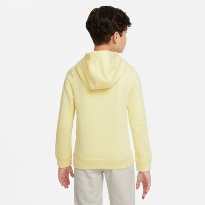 3. Nike Sportswear Jr DX5087-706 sweatshirt