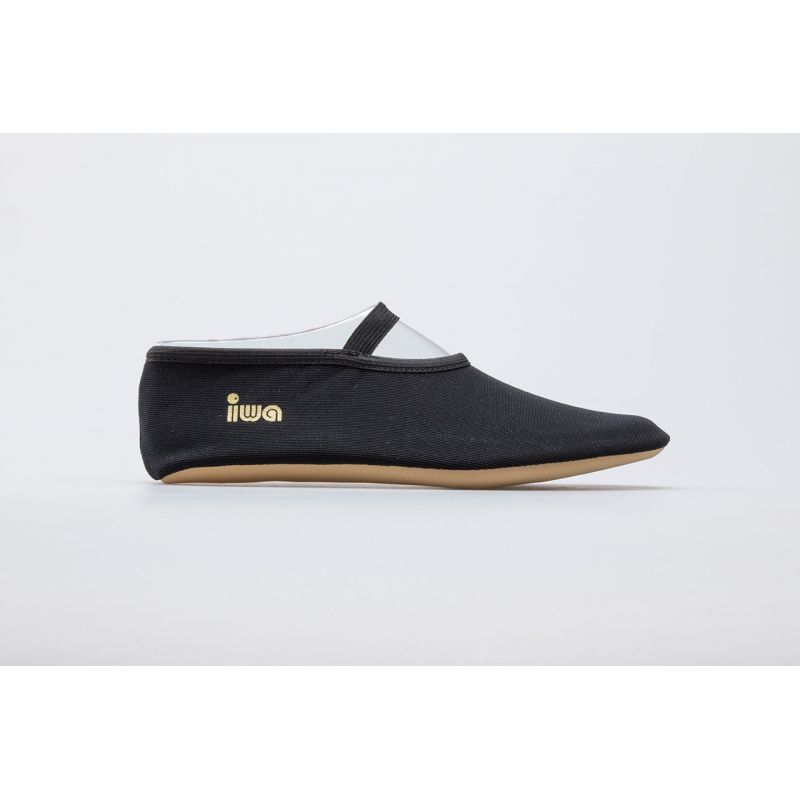IWA 250 ballet shoes