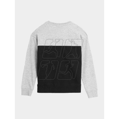 2. 4F Jr sweatshirt 4FJAW23TSWSM630-27M