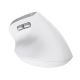 10. Trust BAYO II ERGONOMIC WIRELESS White mouse