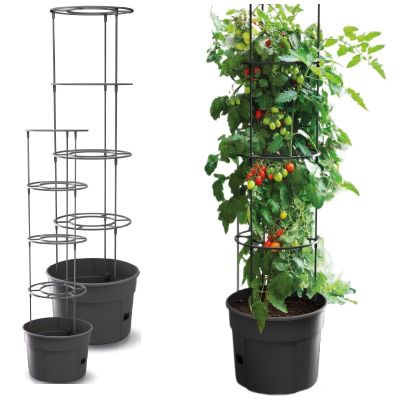 30. TOMATO PLANTING POT WITH LADDER CAPACITY 12L