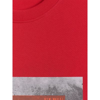 6. Men's regular printed T-shirt 4F 4FWSS26TTSHM3034-62S