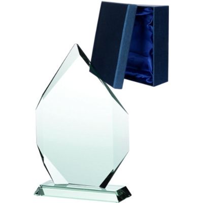 4. Glass trophy with case