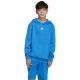 4. adidas Essentials Hoodie for kids blue KD3382