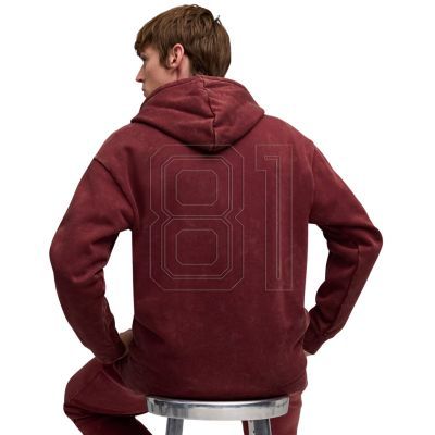 5. Puma ESS Elevated Relaxed Wash Hoodie M 688049 96