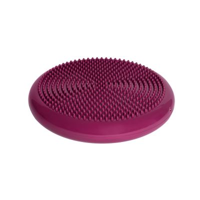 12. Tiguar stabilizing disc (air disc) DR-GT0001