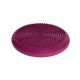 12. Tiguar stabilizing disc (air disc) DR-GT0001