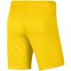 2. Nike Dry Park III NB K Men's Shorts Yellow BV6855 718