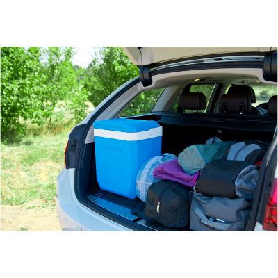 8. Campingaz Icetime Plus 26L Travel Cooler Blue