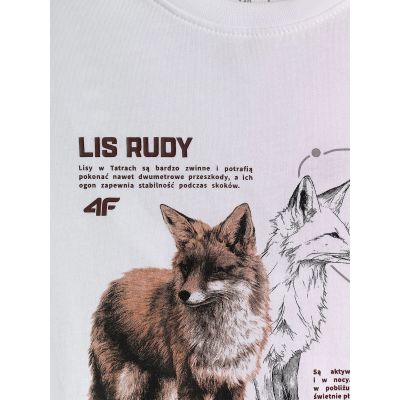 4. Boy's regular printed T-shirt 4F 4FJKAW26TTSHM4452-10S