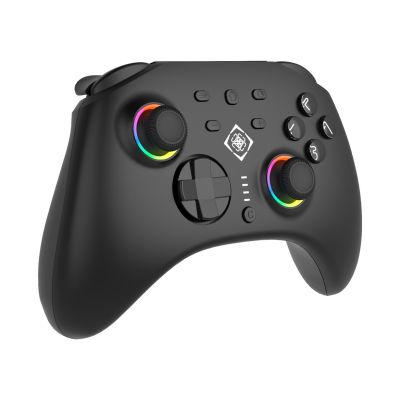 2. Deltaco Controller 2 C Taste RGB Wireless schwarz Switch