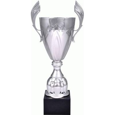 4. Silver metal cup 4127C