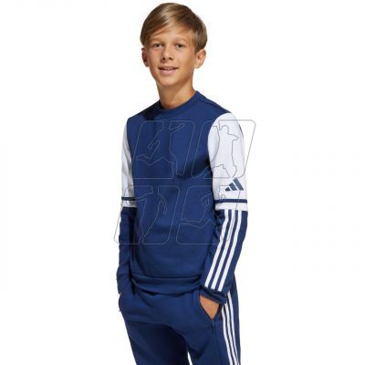 4. Adidas Squadra 25 Sweat Crew Jr JD4814 sweatshirt