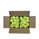 5. Wilson Triniti Club Tennis Ball WR8201501001