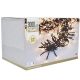 8. CHRISTMAS TREE LIGHTS LIGHT CHAIN 3000 LED TIMER WARM WHITE