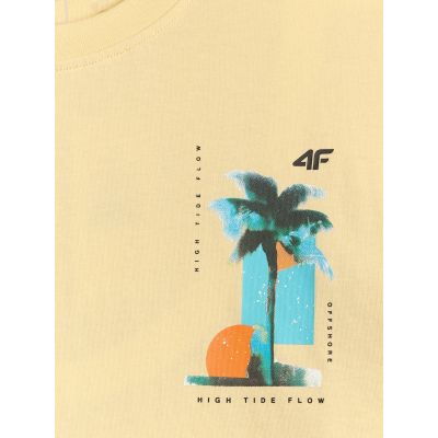 6. Men's regular printed T-shirt 4F 4FRSS26TTSHM4301-73S
