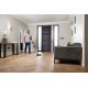 83. Rekin IZ400EU Akku-Staubsauger cordless vacuum cleaner