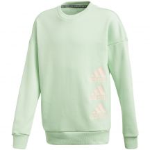 Sweatshirt adidas Jg Mh Crew Jr GE0965