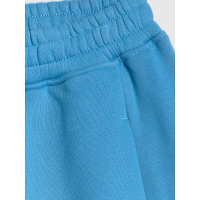 9. Women's jogger sweatpants 4F 4FRSS26TTROF1724-32S
