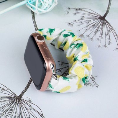 2. Fabric band for Apple Watch 38 / 40 / 41 mm strap bracelet rubber band - pineapple