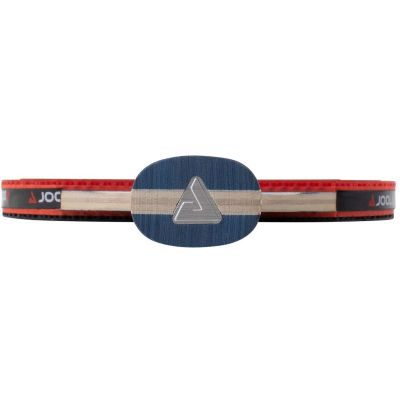 10. JOOLA ROSSI JUNIOR PRO TABLE TENNIS RACKET
