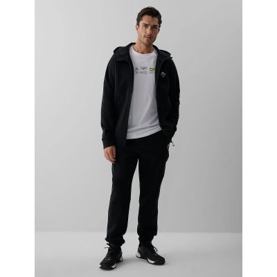 Men's cargo sweatpants 4F 4FRAW26TTROM2091-20S