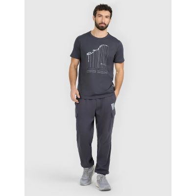 3. Men's regular printed T-shirt 4F 4FRAW25TTSHM3845-22S