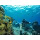 7. LAMAX W9.2 4K WiFi 20 MPx Action Camera
