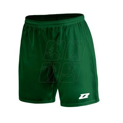 4. Zina Iluvio Senior match shorts M Z01929_20220201120132 GreenDark