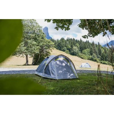 6. Coleman Darwin 2-Person Tent, Green and Gray Igloo