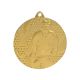 6. Gold medal - hockey - steel medal