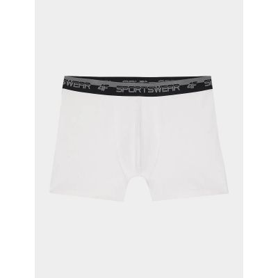 2. Boxer shorts 4F M 4FWSS24UBXSM036-10S