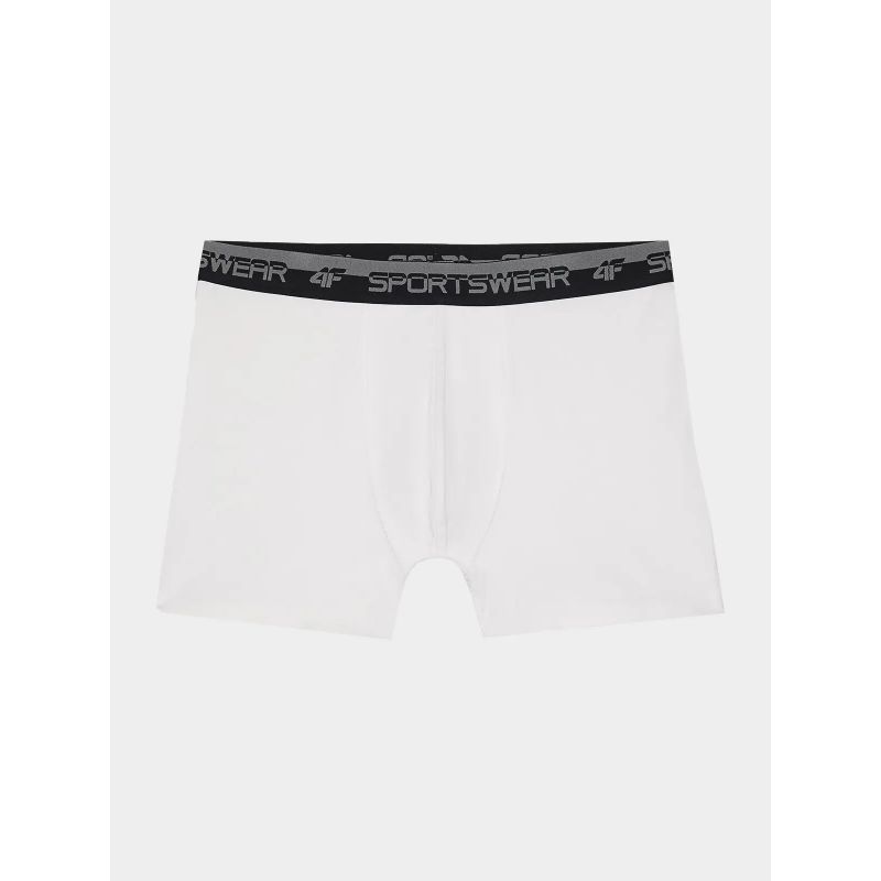 2. Boxer shorts 4F M 4FWSS24UBXSM036-10S