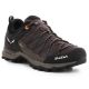 2. Salewa Mtn Trainer Lite GTX M 61361-7512 trekking shoes