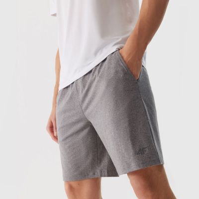 3. Shorts 4F M 4FWSS24TFSHM383 27M